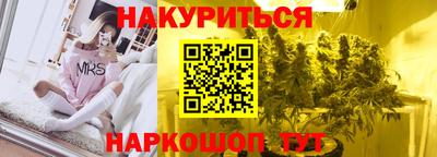 сатива Малгобек