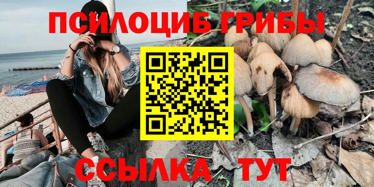 Галлюциногенные грибы мицелий Чапаевск