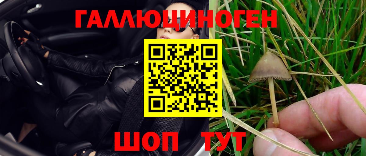 Псилоцибиновые грибы MAGIC MUSHROOMS  наркотики  Чапаевск  Вход с VPN 
